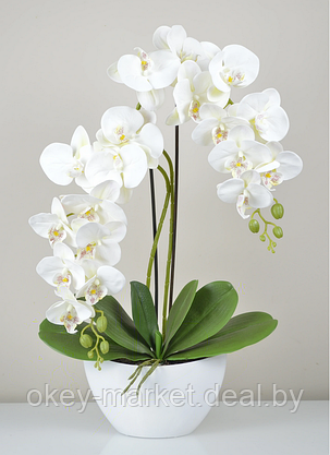 Цветочная композиция из орхидей в горшке 2 ветки D-563, фото 2