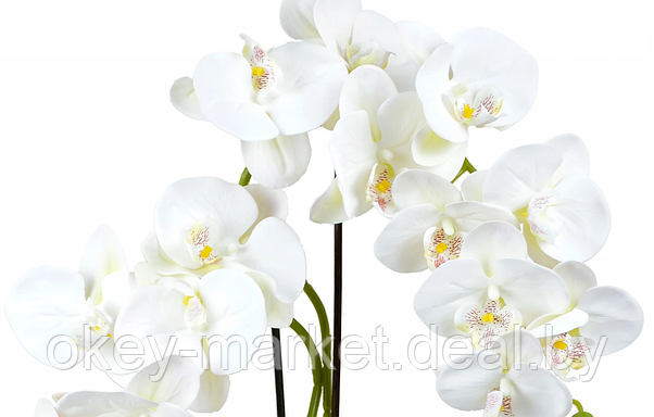 Цветочная композиция из орхидей в горшке 2 ветки D-563, фото 3