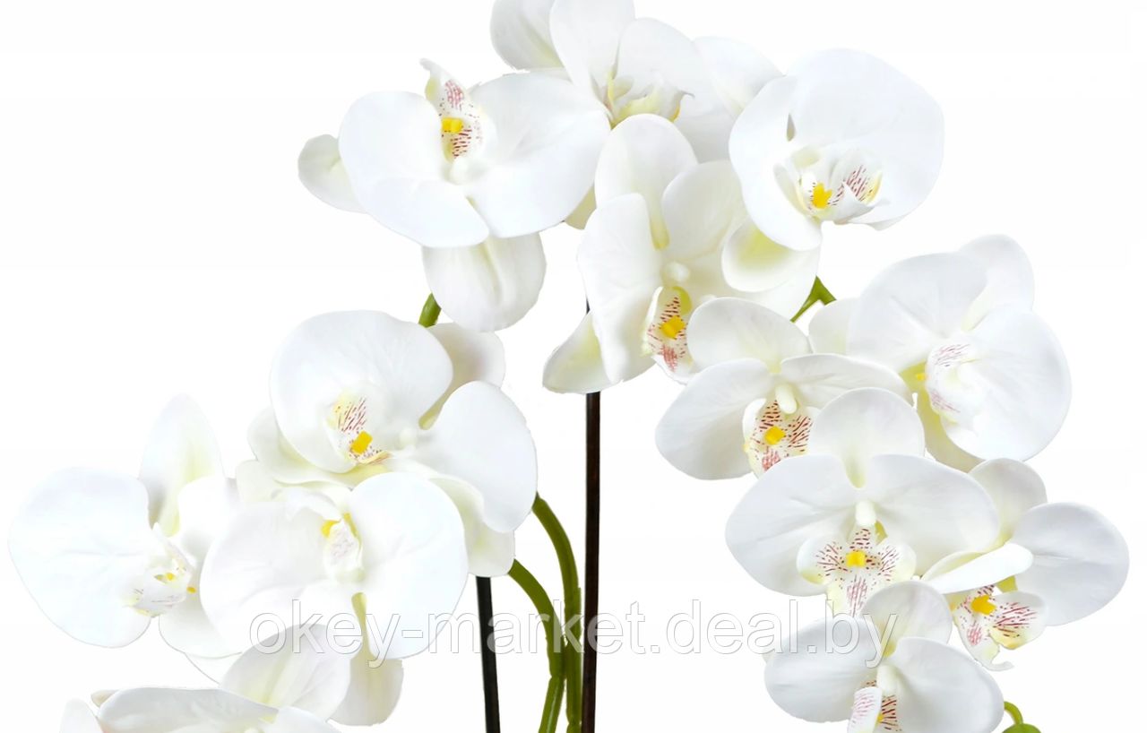 Цветочная композиция из орхидей в горшке 2 ветки D-563 - фото 3 - id-p144878802