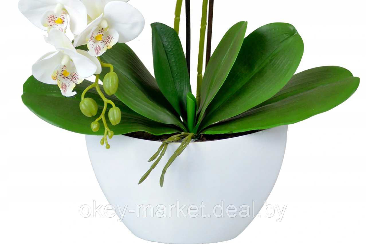 Цветочная композиция из орхидей в горшке 2 ветки D-563 - фото 4 - id-p144878802