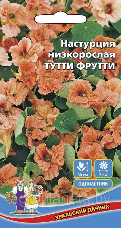 Настурция низкорослая ТУТТИ ФРУТТИ, 1 г