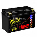 Мотоаккумулятор Fiamm FTZ10S-BS (8,6 A/h), 120A L+ 7904482 (150x87x93), фото 2