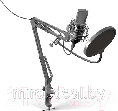 Микрофон Ritmix RDM-169 - фото 1 - id-p148975422
