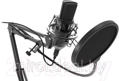 Микрофон Ritmix RDM-169 - фото 2 - id-p148975422