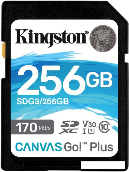 Карта памяти Kingston Canvas Go! Plus SDXC 256GB