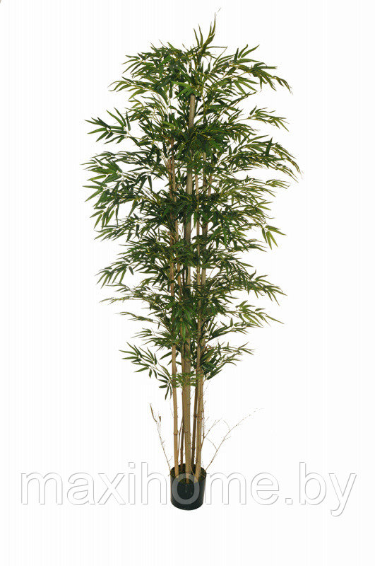 Искусственное растение "Бамбук" в горшке, 210 см