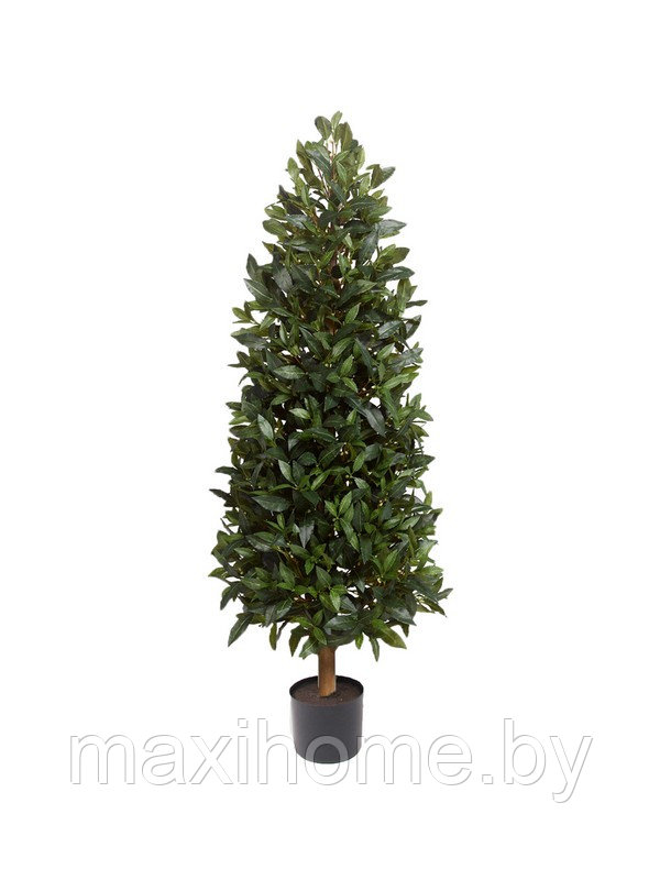 Искусственное растение "Лавр благородный" 120 см