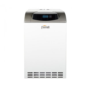 Газовый котел Ferroli PEGASUS D 23, фото 2