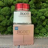 Интенсивно увлажняющий крем для лица Jigott Active Emulsion Cream, фото 2