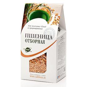 Пшеница отборная для проращивания "Образ жизни", 500 гр