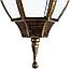 Уличный подвесной светильник Arte Lamp Pegasus A3151SO-1BN, фото 2