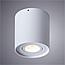 Потолочный светильник Arte Lamp Falcon A5645PL-1WH, фото 2