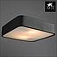 Потолочный светильник Arte Lamp Cosmopolitan A7210PL-2BK, фото 3