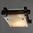 Потолочный светильник Arte Lamp 94 A6462PL-1CK, фото 3
