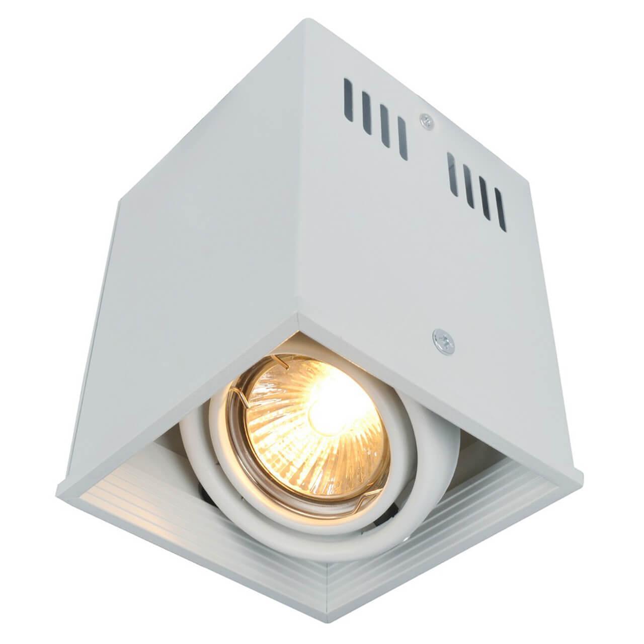 Потолочный светильник Arte Lamp Cardani A5942PL-1WH - фото 1 - id-p149208318