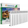 Радиатор биметаллический Lammin Eco BM-500-80, фото 5