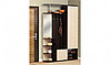 Секция в прихожую Кармен-7 (венге/вудлайн крем) Олмеко, фото 2
