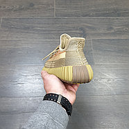 Кроссовки Adidas Yeezy Boost 350 V 2 Sand Taupe, фото 5