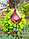 Фонарь садовый ЧУДЕСНЫЙ САД 654-B "Бутон", фото 3