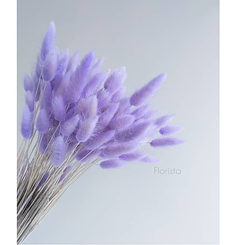 Лагурус, сухоцвет, цвет светло-фиолетовый, в упаковке 110-150 штук