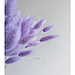 Лагурус, сухоцвет, цвет светло-фиолетовый, в упаковке 110-150 штук, фото 2
