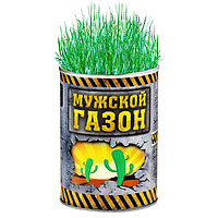 Растущая трава в консервной банке "Мужской газон"