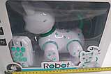 Игрушка радиоуправляемая кошка-робот - 9873, свет, звук, в коробке, фото 5