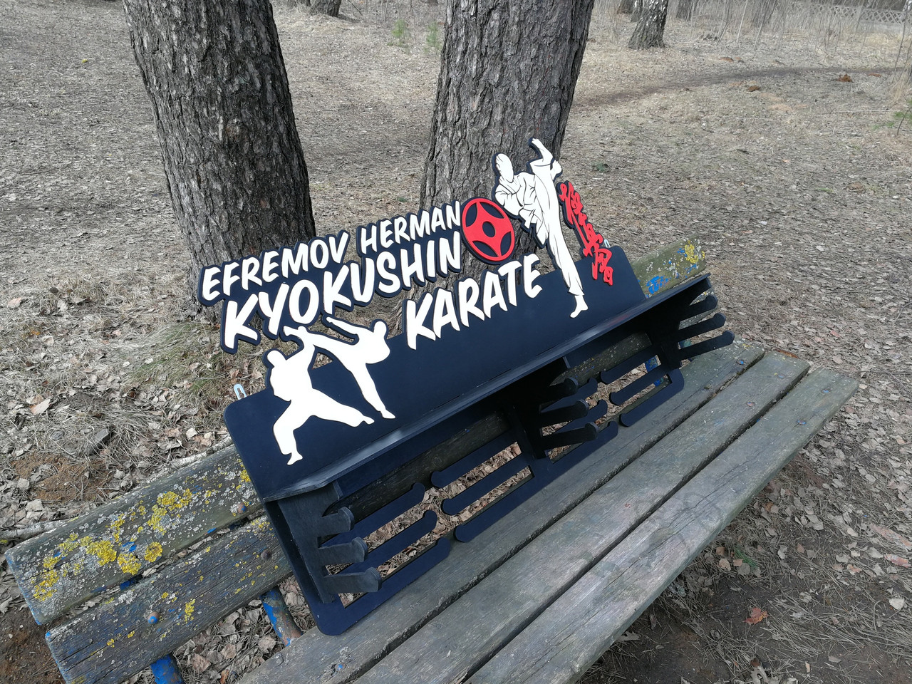 Большая медальница "Карате Kyokushin" - фото 2 - id-p149897424