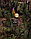 Фонарь садовый "Луна" светодиодный на солнечной батарее, фото 6