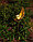 Фонарь садовый "Луна" светодиодный на солнечной батарее, фото 2