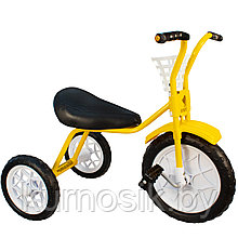 Трехколесный велосипед детский "Зубренок" (арт.526-611) желтый