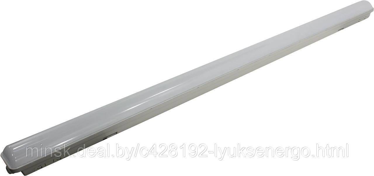 SBL-TPIP65-60W-64K светодиодный (LED) светильник TPIP65 матовый Smartbuy-60W/6400K/IP65 - фото 2 - id-p150128153