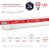 Лампа светодиодная ЭРА ECO LED T8-24W-865-NTB-1500mm (диод,трубка стекло,24Вт,холодный свет, неповоротный G13), фото 2