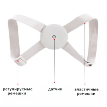 Умный корректор осанки Intelligent Induction Type Corrector - фото 2 - id-p150200785