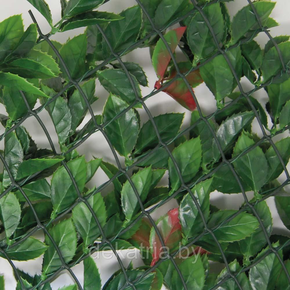 Изгородь с листьями DIVY PHOTINIA PLUS 3D 1х3м. - фото 3 - id-p150240001