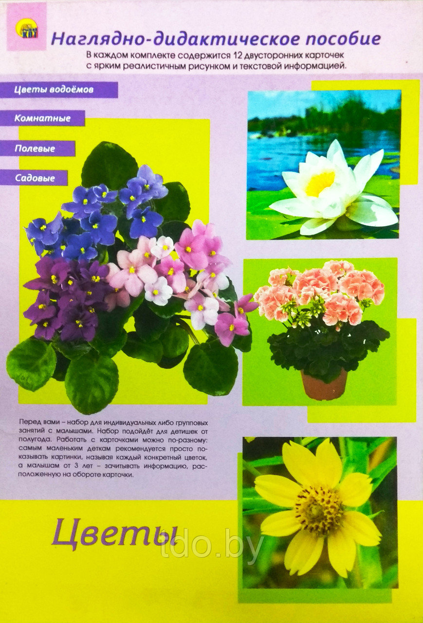 Дидактическое пособие. Цветы комнатные, полевые, садовые, цветы водоёмов - фото 1 - id-p150260651