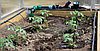 Расширительный комплект капельного полива "ЖУК" от водопровода, 20 растений [7832-00], фото 4