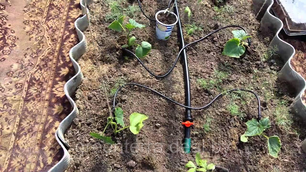 Капельный полив "ЖУК" от водопровода с таймером, 30 растений [8211-00] - фото 9 - id-p149063720