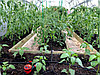 Капельный полив ЖУК от емкости с таймером, 60 растений [7566-00], фото 4