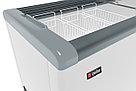 Морозильный ларь FROSTOR (Gellar) FG 350 C прямое стекло (-18…-22C, 3 корзины 310 л) серый, фото 2