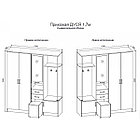 Прихожая Дуся 1,7м Белый бриллиант/Дуб бунратти, фото 3