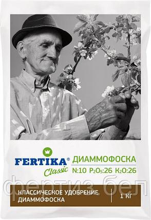 ДИАММОФОСКА NPK 10:26:26, фото 2