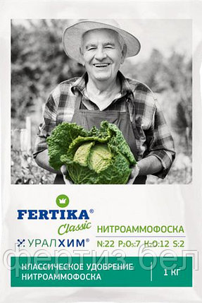 НИТРОАММОФОСКА (АЗОФОСКА) NPK 22:7:12+S, фото 2