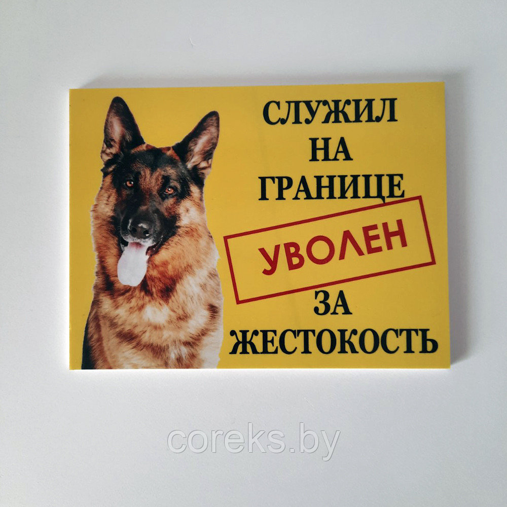 Табличка "Осторожно злая собака" №6 (20*15 см) - фото 1 - id-p150653616