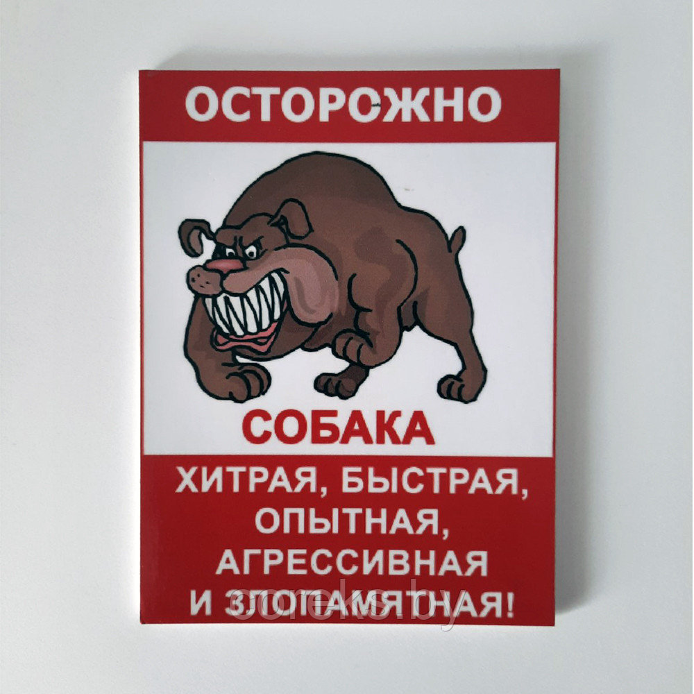 Табличка "Осторожно злая собака" №8 ( 20*25 см) - фото 1 - id-p150653740