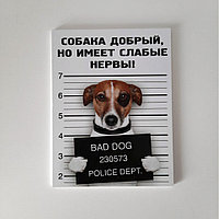 Табличка "Собака добрый, но имеет слабые нервы" №10 (15*20 см)