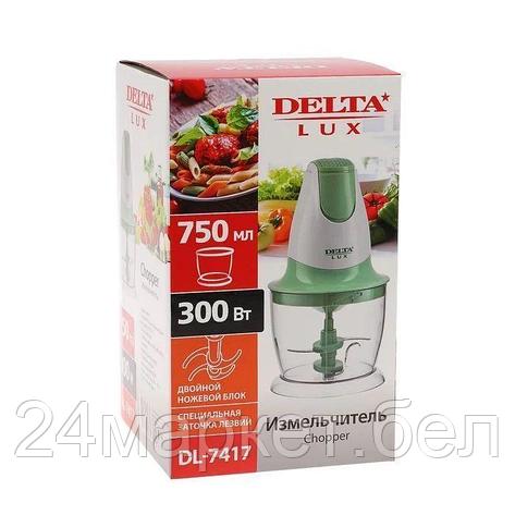 Измельчитель Delta Lux DL-7417, фото 2