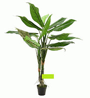 Искусственное растение "Пальма Хамедорея", 120 см