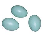 Яйцо подкладное голубиное (перепелиное), фото 2