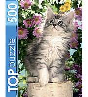TOPpuzzle. ПАЗЛЫ 500 элементов. Котенок в цветах